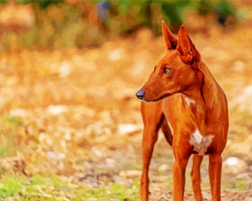 Podenco Dog Animal Diamond Painting