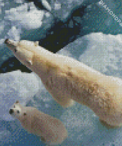 Polar Bear Cub Diamond Painting