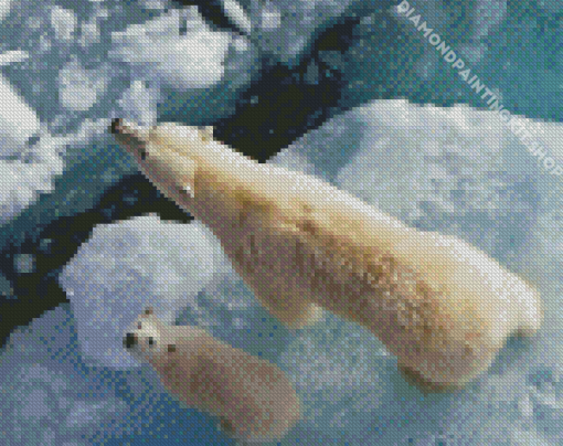 Polar Bear Cub Diamond Painting