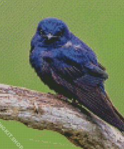 Purple Martin Diamond Painting