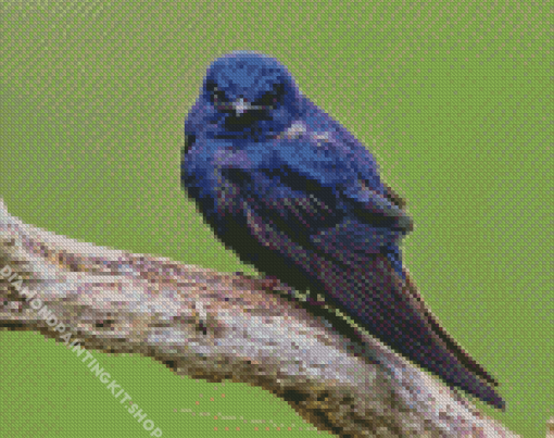 Purple Martin Diamond Painting