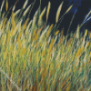 Tall Grass Art Diamond Painting