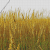 Tall Grass On A Windy Day Diamond Painting