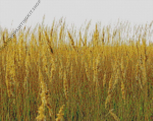 Tall Grass On A Windy Day Diamond Painting