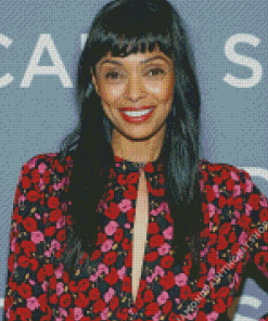 The Canadian Actress Tamara Taylor Diamond Painting