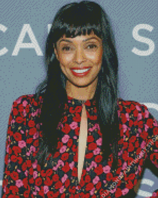 The Canadian Actress Tamara Taylor Diamond Painting