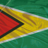 The Guyana Flag Diamond Painting