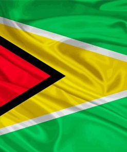 The Guyana Flag Diamond Painting