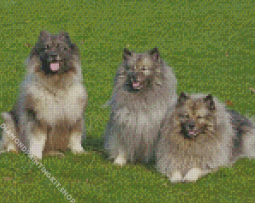 The Keeshond Dogs Diamond Painting