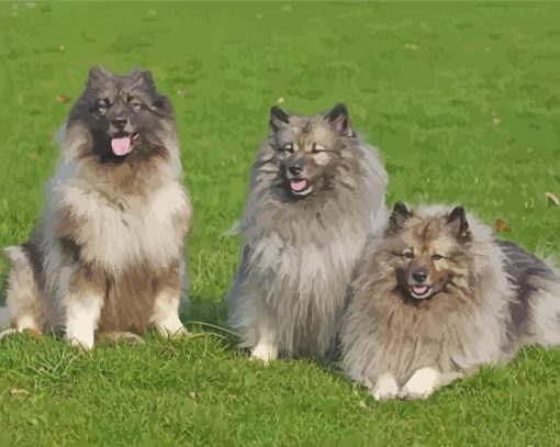 The Keeshond Dogs Diamond Painting