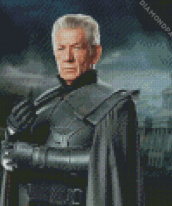 The Older Magneto Diamond Painting