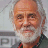 Tommy Chong Actor Diamond Painting