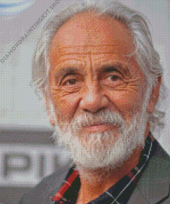 Tommy Chong Actor Diamond Painting