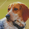 Treeing Walker Coonhound Dog Diamond Painting