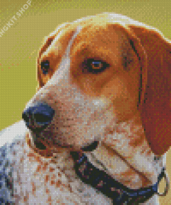 Treeing Walker Coonhound Dog Diamond Painting