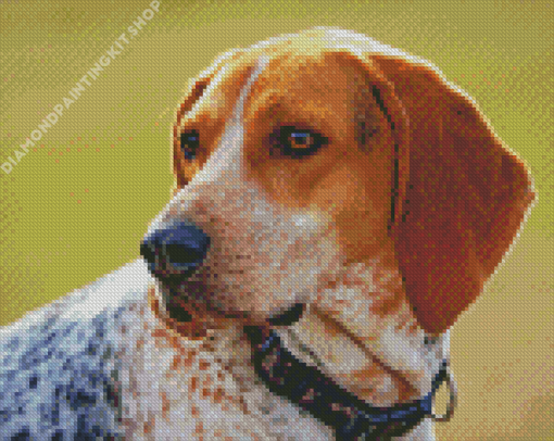 Treeing Walker Coonhound Dog Diamond Painting