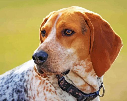 Treeing Walker Coonhound Dog Diamond Painting