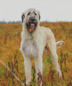 White Irish Wolfhound Diamond Painting