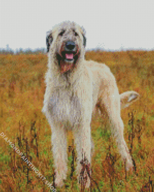 White Irish Wolfhound Diamond Painting