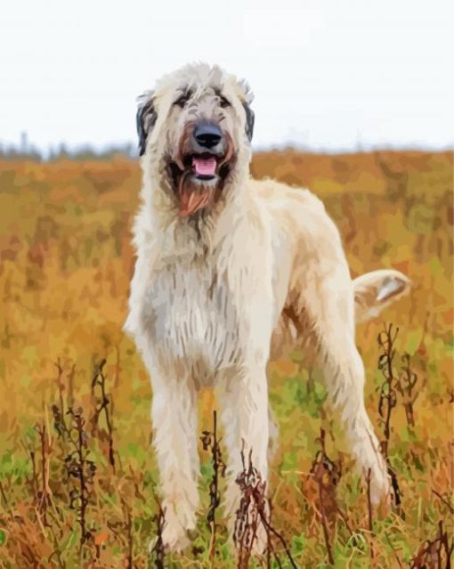 White Irish Wolfhound Diamond Painting