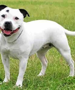 White Staffy Dog Diamond Painting