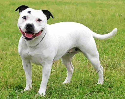 White Staffy Dog Diamond Painting