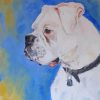 White Boxer Animal Diamond Painting