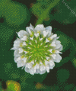 White Clover Plant Art Diamond Painting