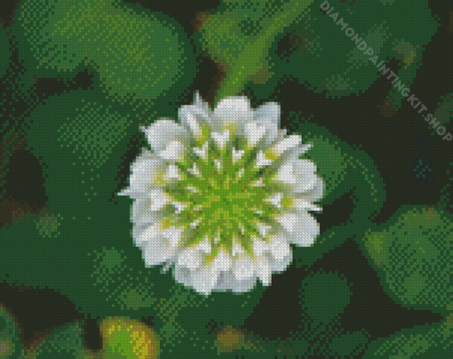 White Clover Plant Art Diamond Painting