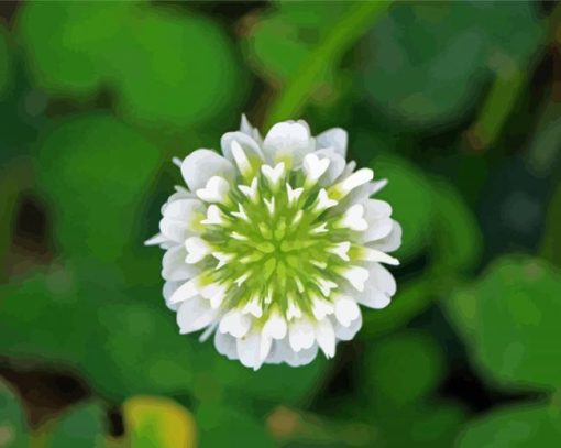 White Clover Plant Art Diamond Painting