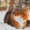 Winter Cat In Snow Diamond Painting