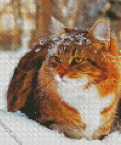 Winter Cat In Snow Diamond Painting