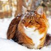 Winter Cat In Snow Diamond Painting