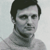 Young Alan Alda Diamond Painting