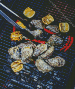 Aesthetic Barbecue Diamond Painting