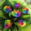 Aesthetic Rainbow Roses Diamond Painting