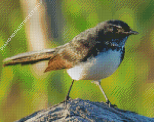 Aesthetic Willie Wagtail Diamond Painting