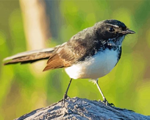 Aesthetic Willie Wagtail Diamond Painting