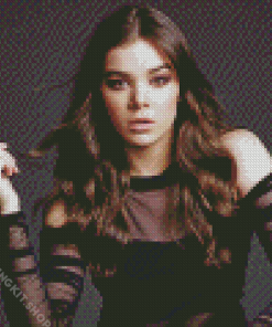 Aesthetic Hailee Steinfeld Diamond Painting