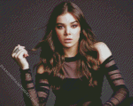 Aesthetic Hailee Steinfeld Diamond Painting