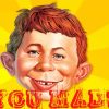 Alfred E Neuman Mad Diamond Painting