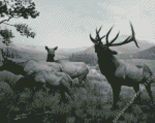 Black And White Elks Diamond Painting