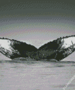 Black And White Whale Tail Diamond Painting