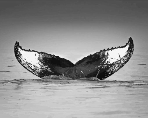 Black And White Whale Tail Diamond Painting