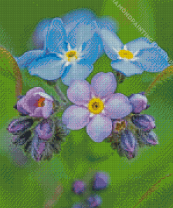 Blue And Purple Forget Me Nots Flowers Diamond Painting