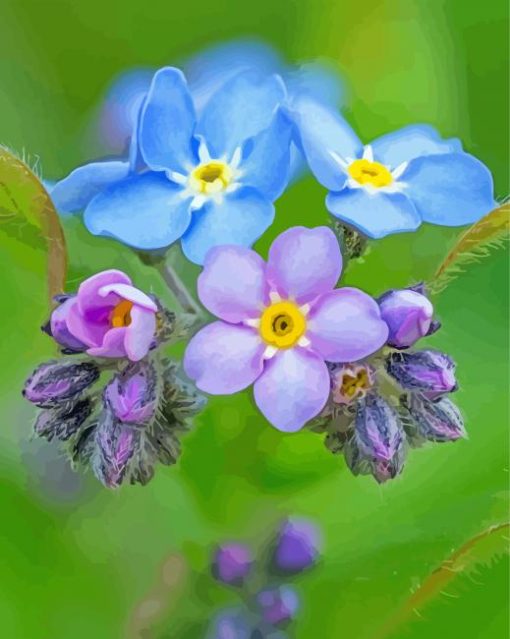 Blue And Purple Forget Me Nots Flowers Diamond Painting