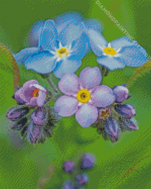 Blue And Purple Forget Me Nots Flowers Diamond Painting