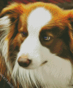 Brown Border Collie Art Diamond Painting