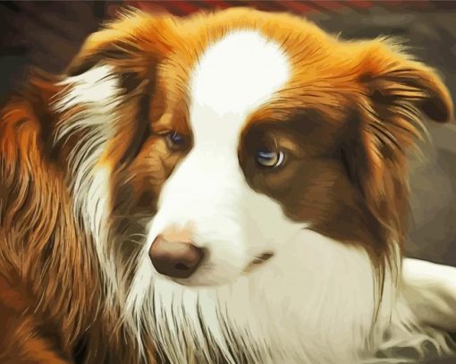 Brown Border Collie Art Diamond Painting