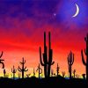 Cactus Sunset And Moon Diamond Painting